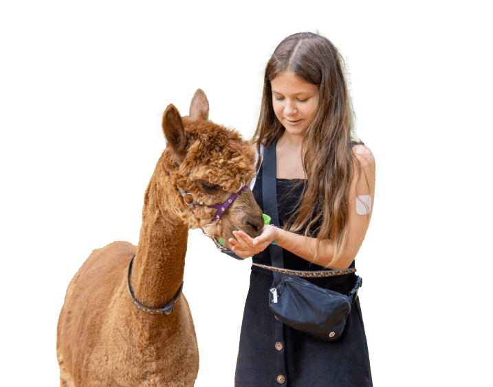 balade alpaga enfant | Alpaga